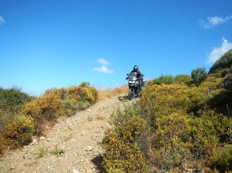 DSCN7817.JPG