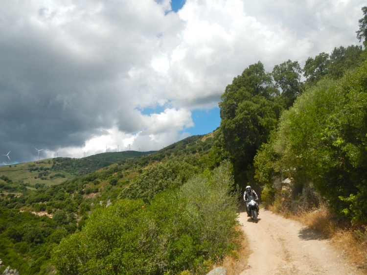 DSCN7905.JPG