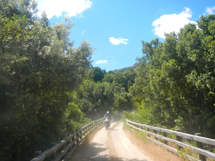 DSCN7962.JPG