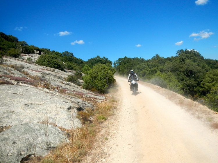 DSCN7978.JPG