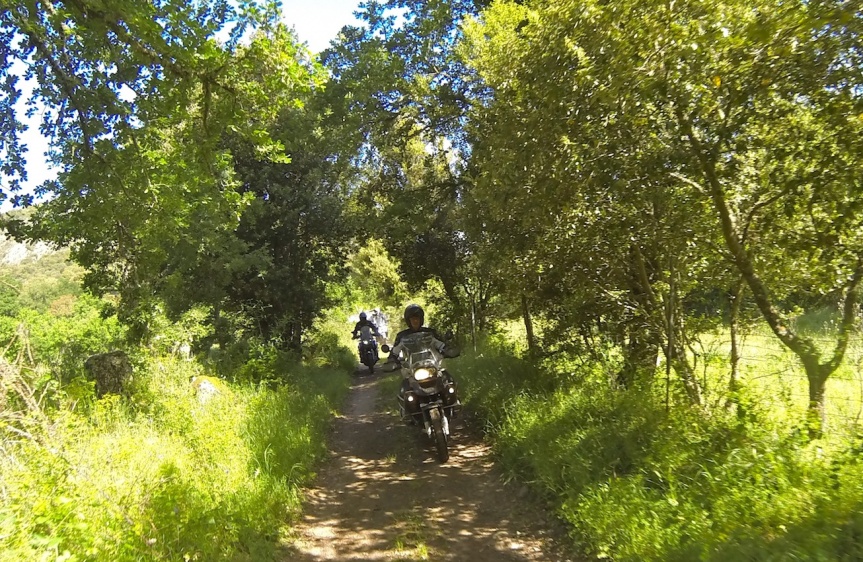 G0220909.JPG