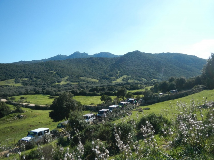 DSCN4316.JPG