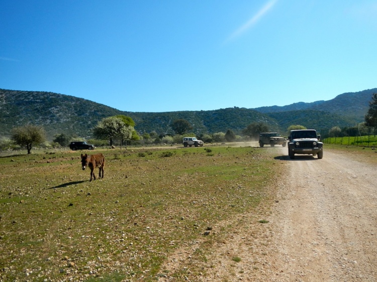 DSCN4431.JPG