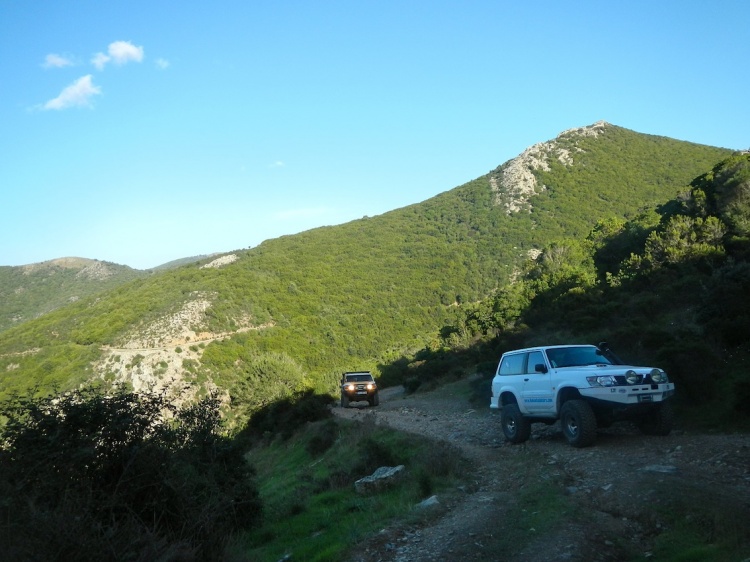 DSCN8896.JPG