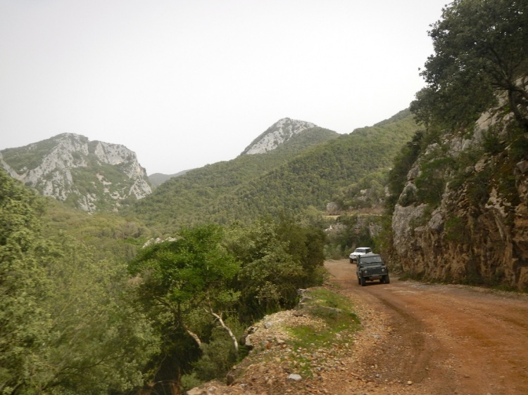 DSCN8975.JPG