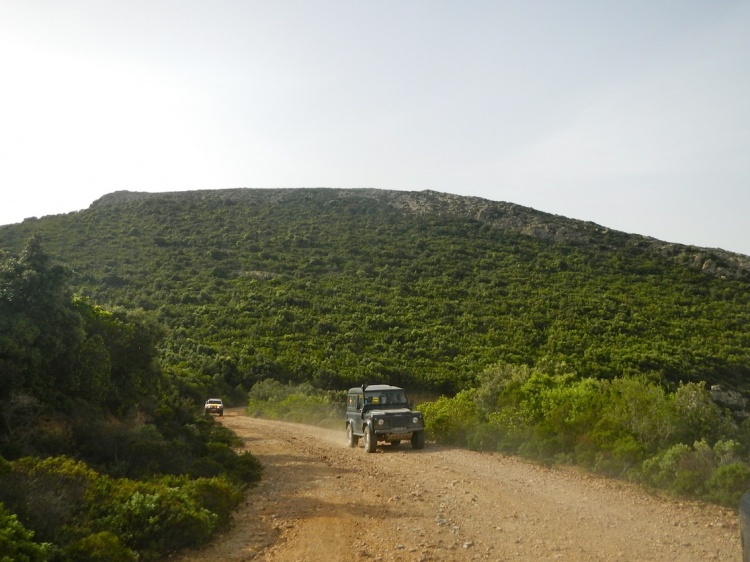 DSCN9117.JPG