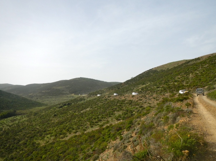 DSCN9243.JPG