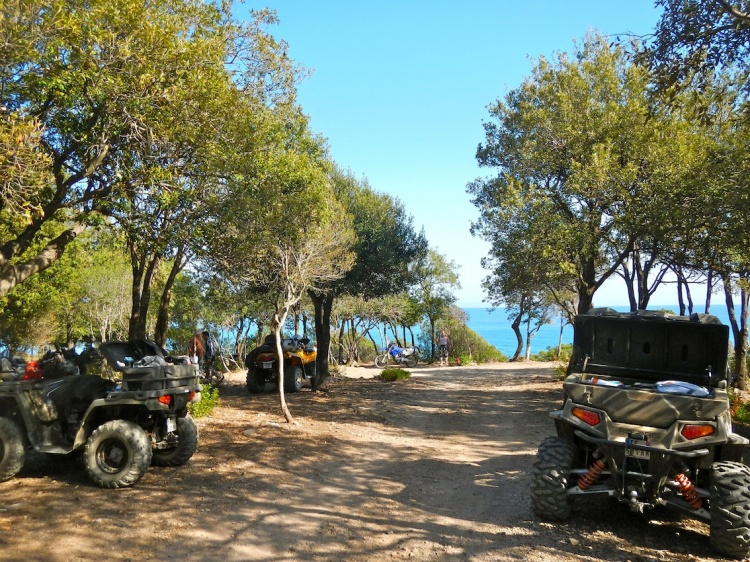 DSCN1363.JPG