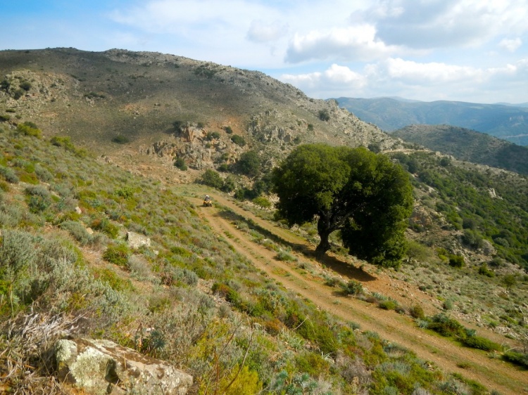 DSCN1412.JPG