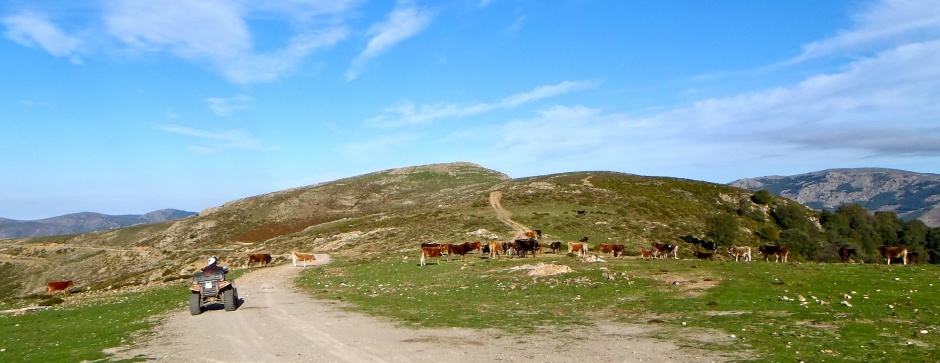 PA170658.JPG
