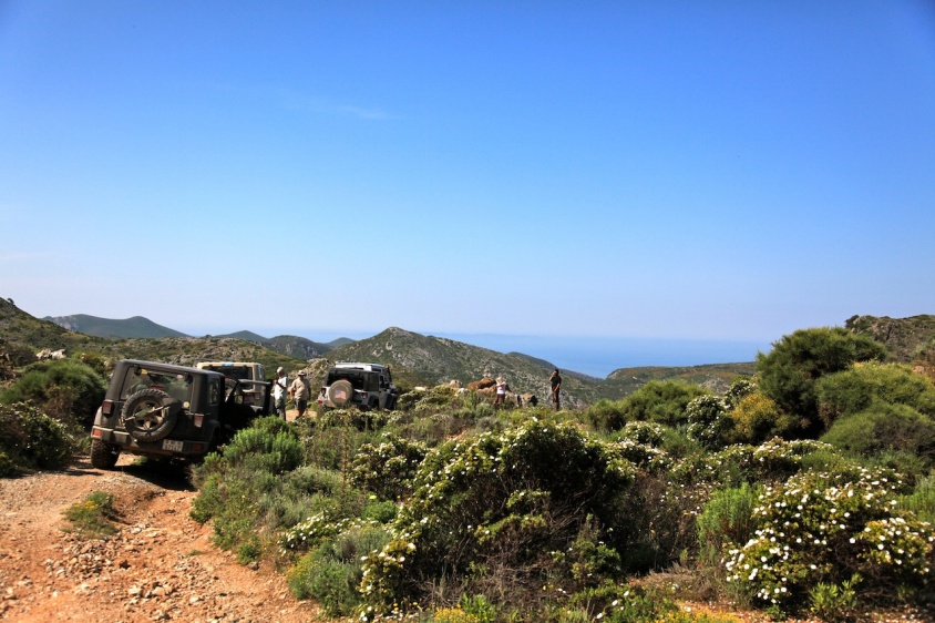 IMG_9836.JPG