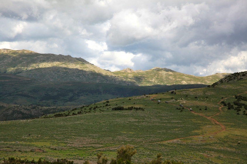IMG_8598.JPG