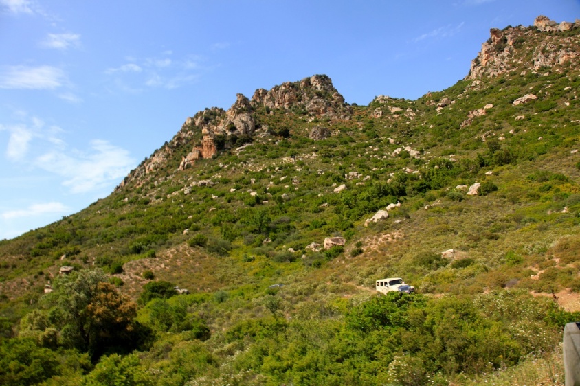 IMG_6895.JPG