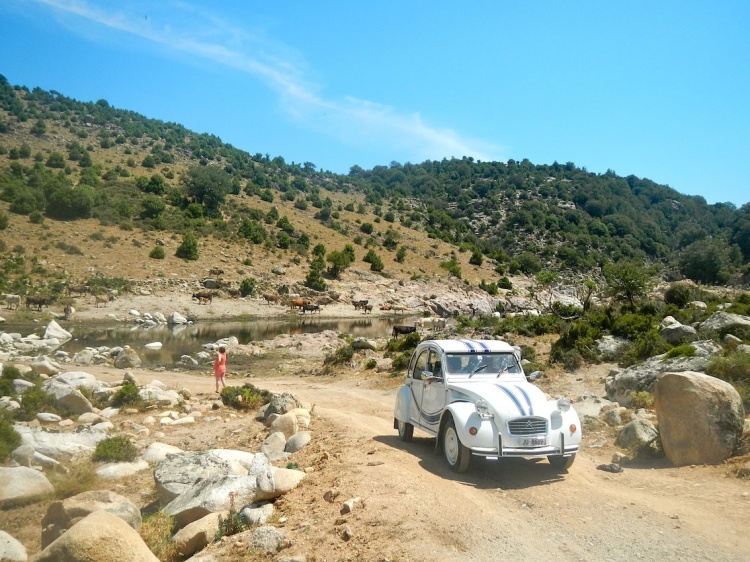 DSCN8238.JPG