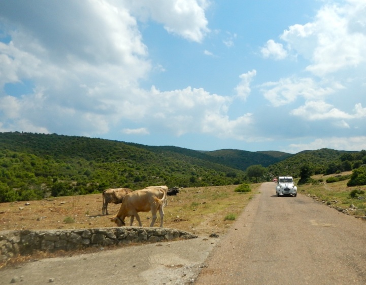 DSCN8326.JPG