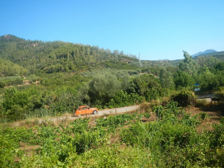 DSCN8388.JPG