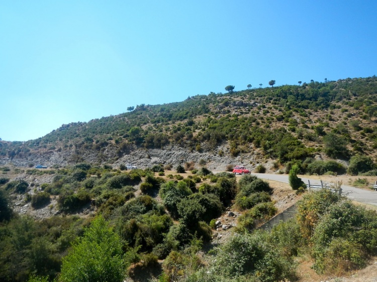 DSCN8413.JPG