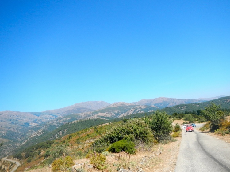 DSCN8439.JPG