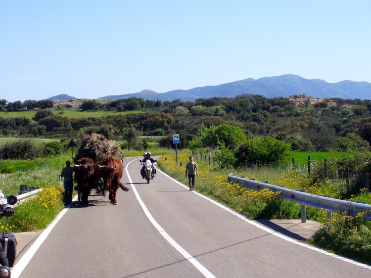 VIAGGI IN MOTO DA STRADA