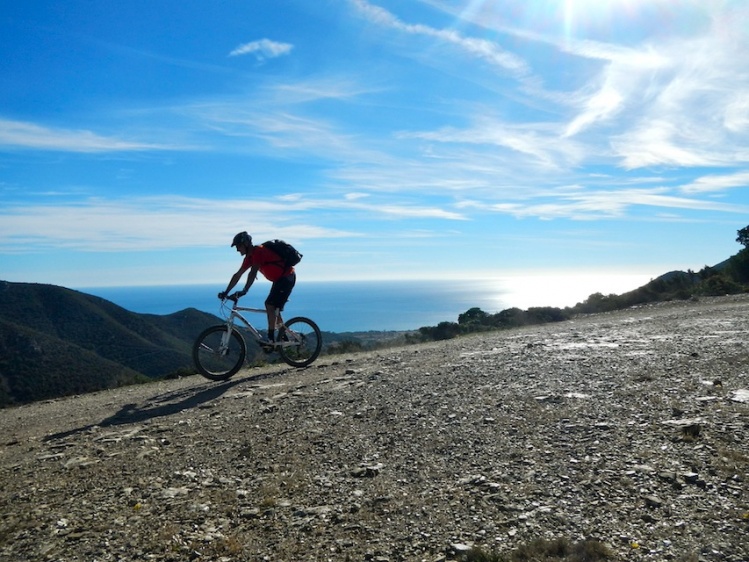 VTT/VTTAE