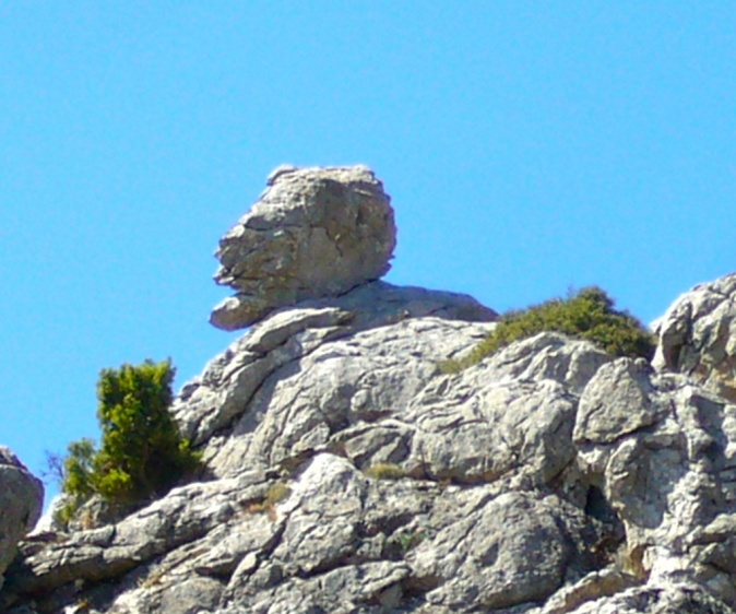 P1060766.JPG