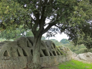 IMG_4494.JPG