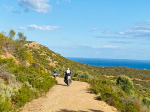 TRAIL