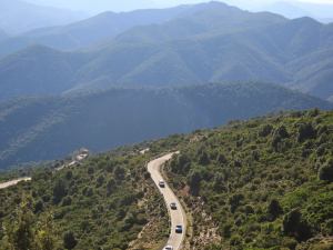 IMG_8696.JPG