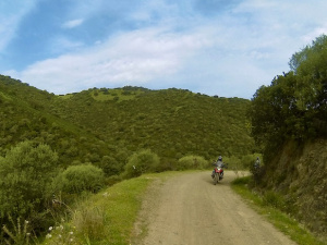 G0016179.JPG