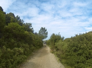 G0026317.JPG
