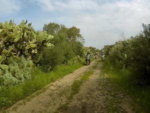 G0033816.JPG