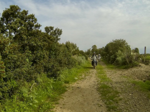 G0033799.JPG