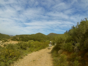 G0036337.JPG