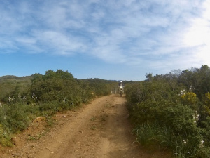 G0036342.JPG