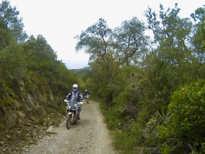 G0036242.JPG