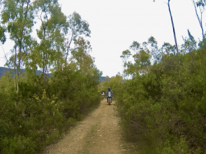G0046248.JPG