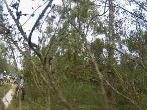 G0046252.JPG