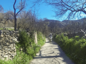 G0186533.JPG