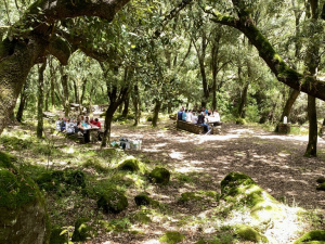 11BACE4F-2685-4CD4-885C-660A3066A046_1_105_c.jpeg