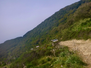 86078A07-72F0-4EF5-8258-32861F0F5A6D_1_105_c.jpeg