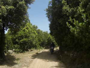 0D139C34-C520-484C-8AAB-C7D08A347CFC_1_201_a.jpeg
