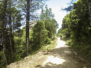 3C81ACCC-FBBB-49D9-A32A-18E6364E534F_1_201_a.jpeg