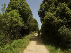 C9219ED0-CA5B-468D-938C-8911756C700C_1_201_a.jpeg