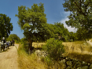 DDA65B47-FAA5-4C97-9B34-C02B9E956AB9_1_201_a.jpeg
