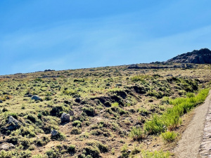 5967B6BB-6E93-4F96-A038-A93AE463F6A6_1_201_a.jpeg