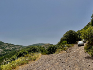 6F9552C3-3003-4663-AB8F-575064D6C91F_1_201_a.jpeg
