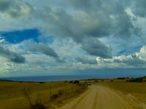 16209A9B-966B-4CC6-AEDE-A6A6FB957F86_1_201_a.jpeg