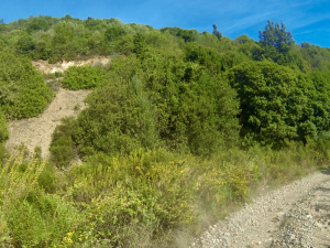 G0048083.JPG