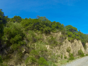 G0088182.JPG