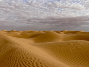 6A62CE82-96C8-4B30-A772-DDEA506FE499_1_105_c.jpeg